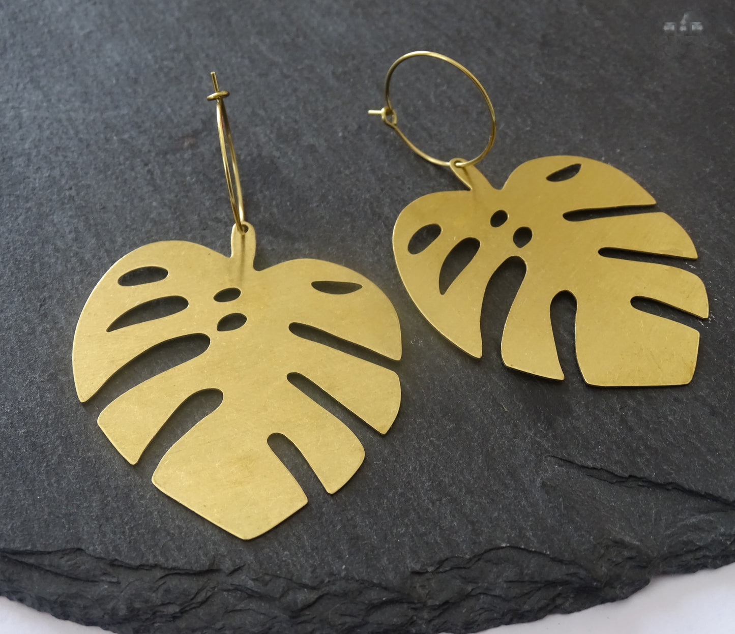 Monstera hoops